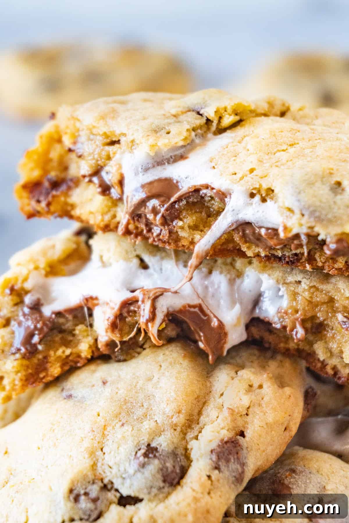 marshmallow stuffed cookies close up of cookie halved with marshmallow and chocolate in center