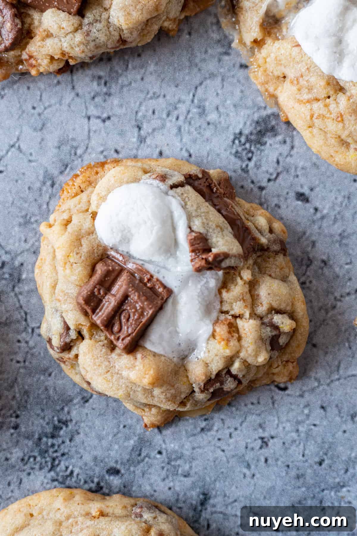 S'more cookie close up