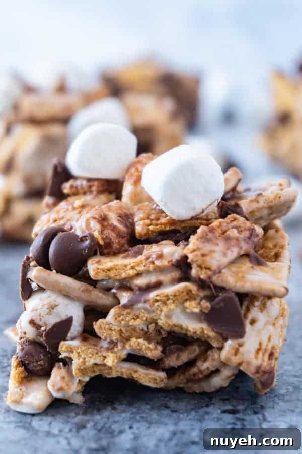 S'mores Bars close up of Bar