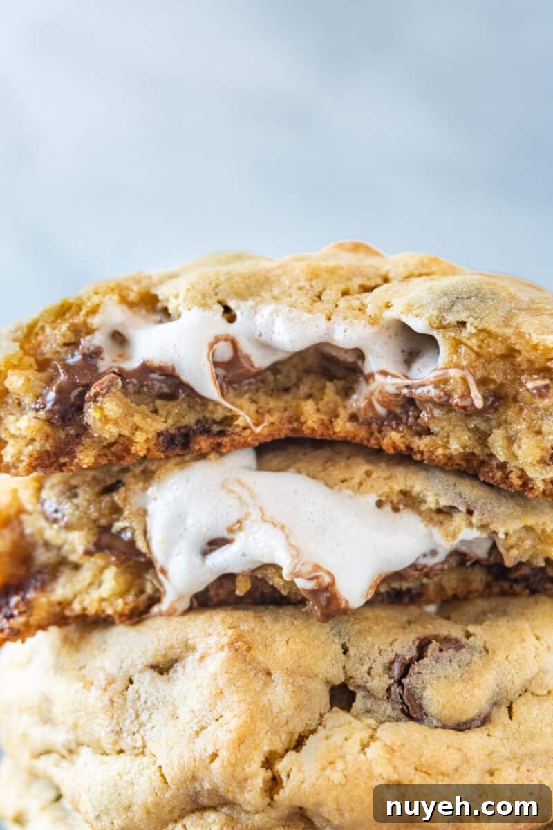 marshmallow stuffed cookies