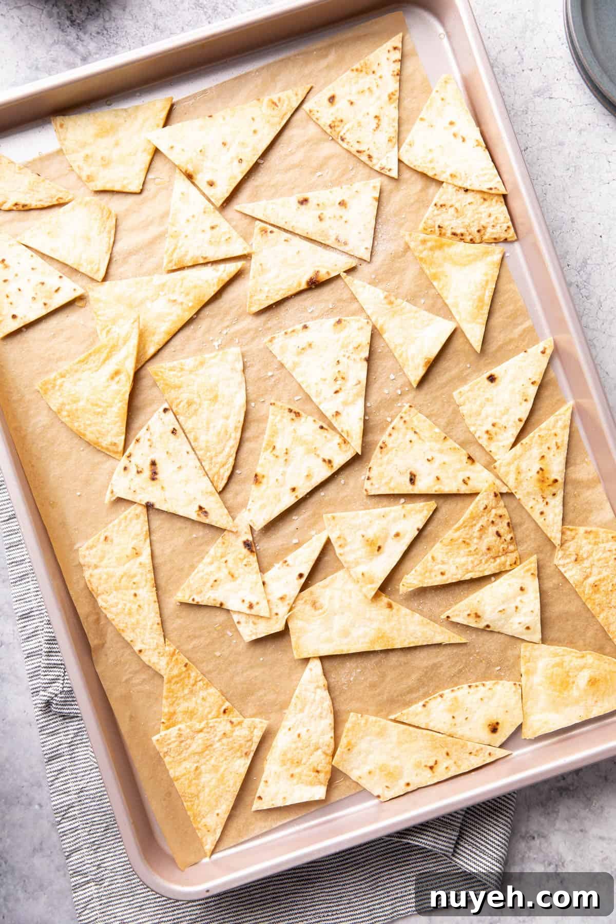 Crispy Homemade Baked Tortilla Chips 3 Fully baked tortilla chips on baking sheet