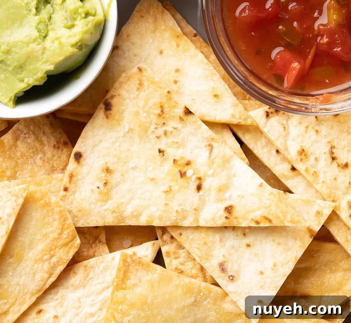 Crispy Homemade Baked Tortilla Chips 8 close up of the crisp texture of finished chips