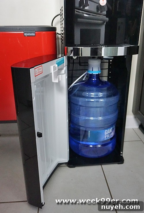 Home Water Dispenser for Purified Water 3 img 52970 3