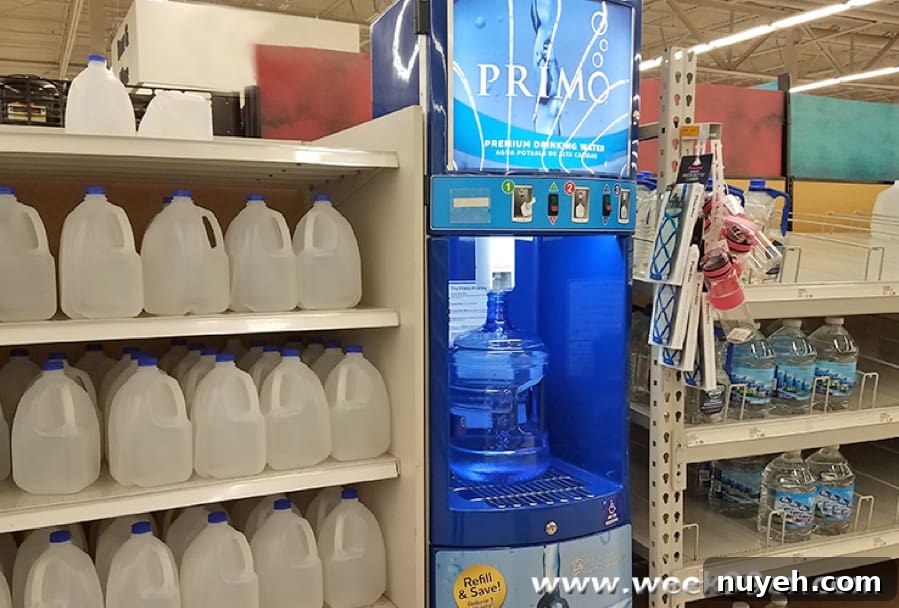 Home Water Dispenser for Purified Water 4 img 52970 4