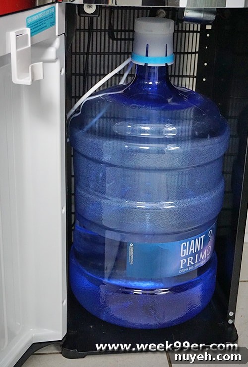 Home Water Dispenser for Purified Water 7 img 52970 7