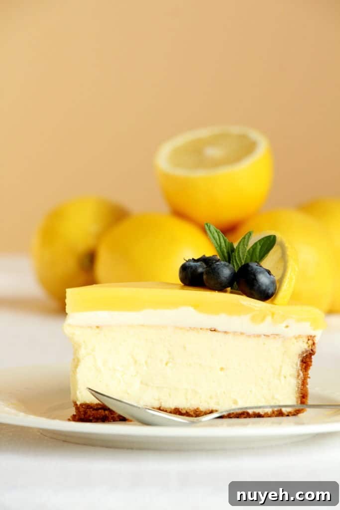 best cheesecake with lemon flavour on white plate