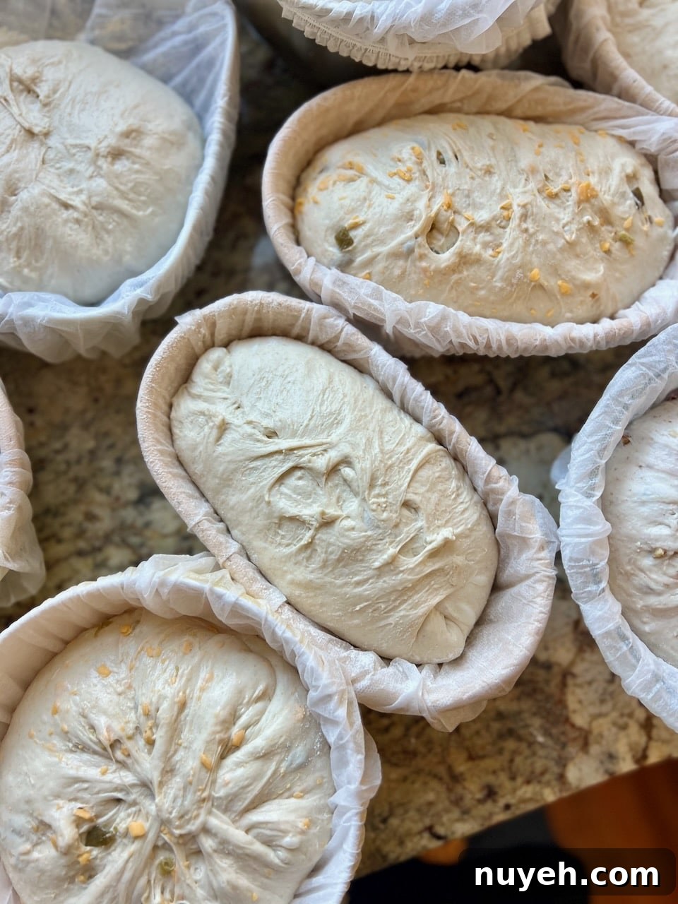 Bannetons on a countertop.