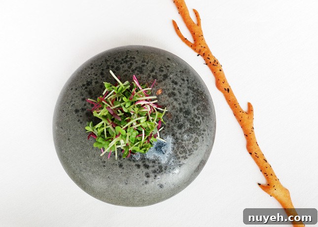 3rd course: Seasalt cheese & ramson covered in shoots, with a tree trunk-shaped cheese cracker, at Geranium Restaurant, Copenhagen / FoodNouveau.com