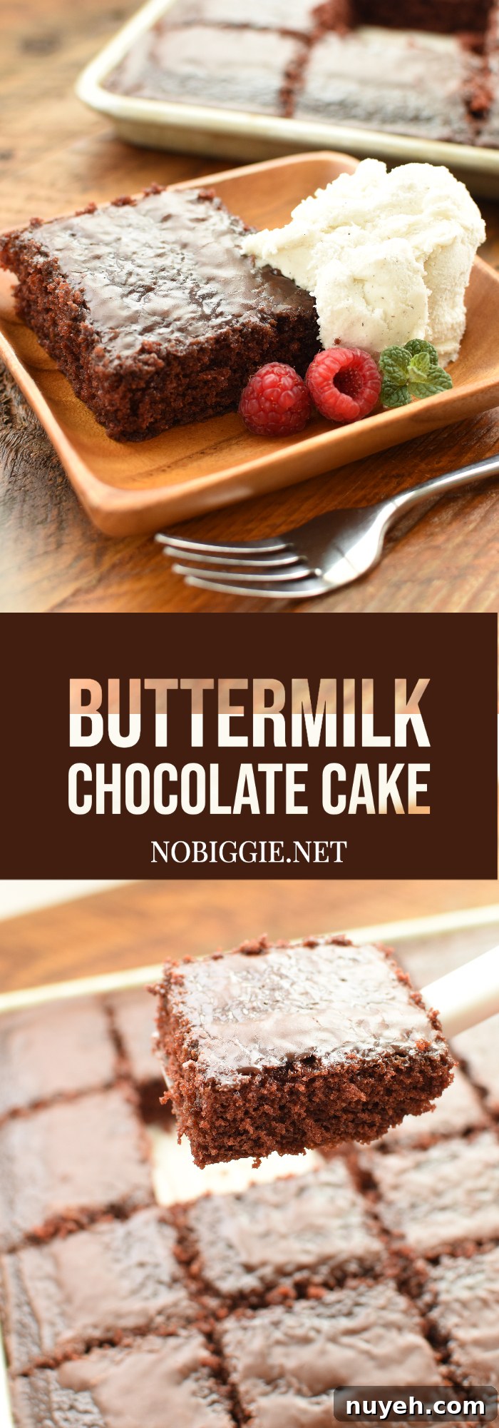 buttermilk chocolate cake | NoBiggie.net