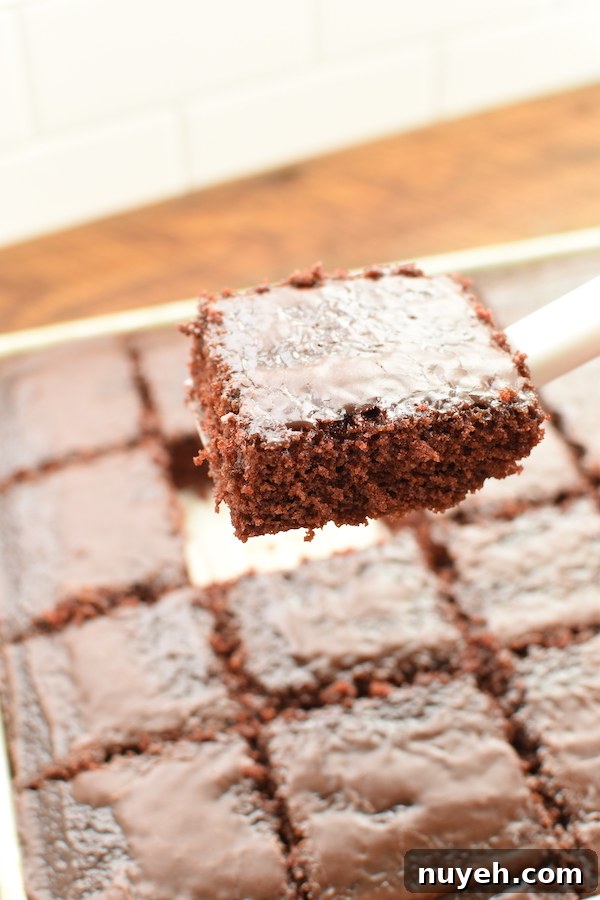 Texas sheet cake | NoBiggie.net