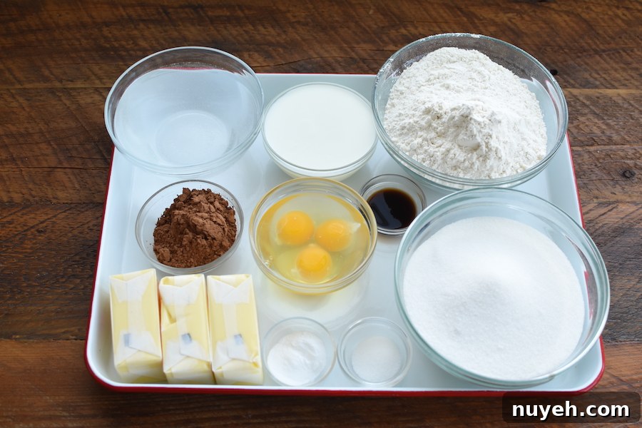 buttermilk chocolate sheet cake ingredients | NoBiggie.net
