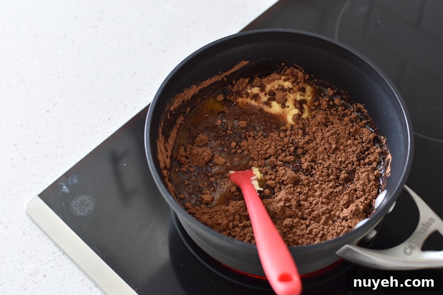 the best chocolate cake | NoBiggie.net