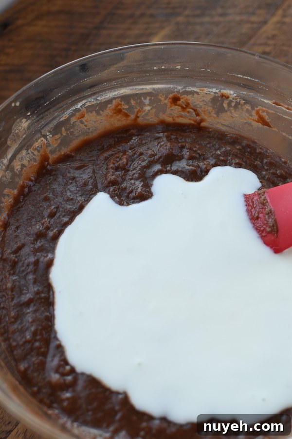 chocolate cake with buttermilk| NoBiggie.net