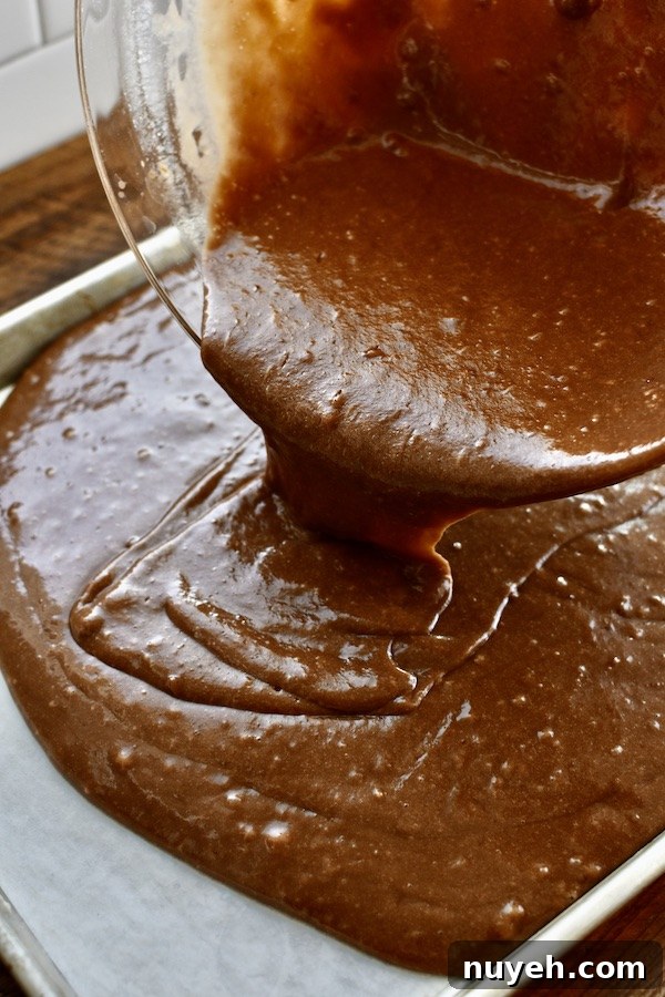 chocolate sheet cake | NoBiggie.net