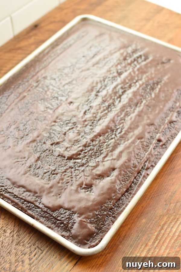 buttermilk chocolate cake frosted | NoBiggie.net