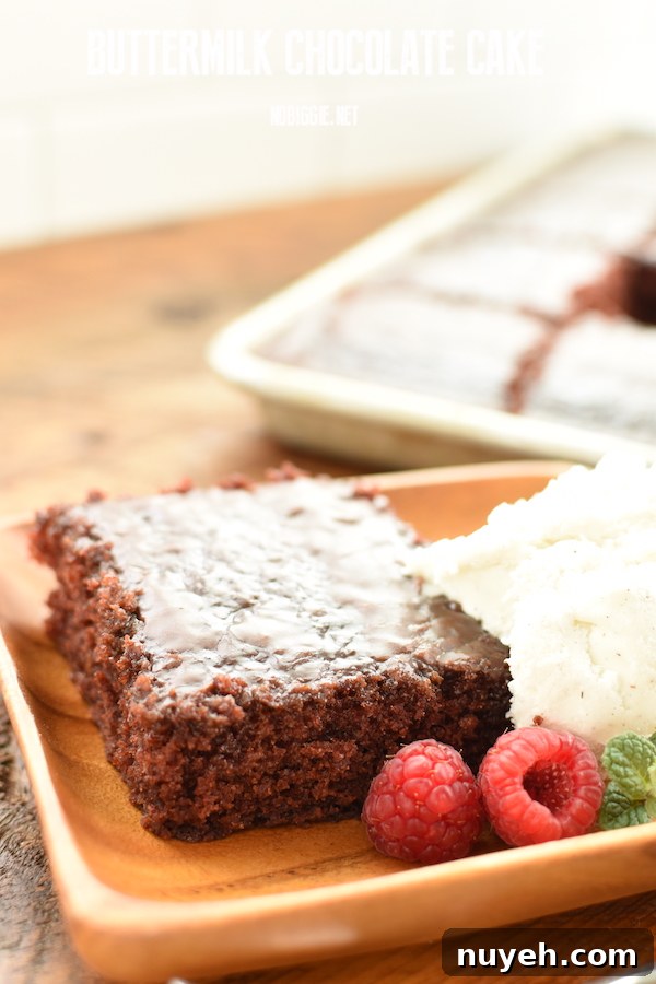 buttermilk chocolate sheet cake | NoBiggie.net