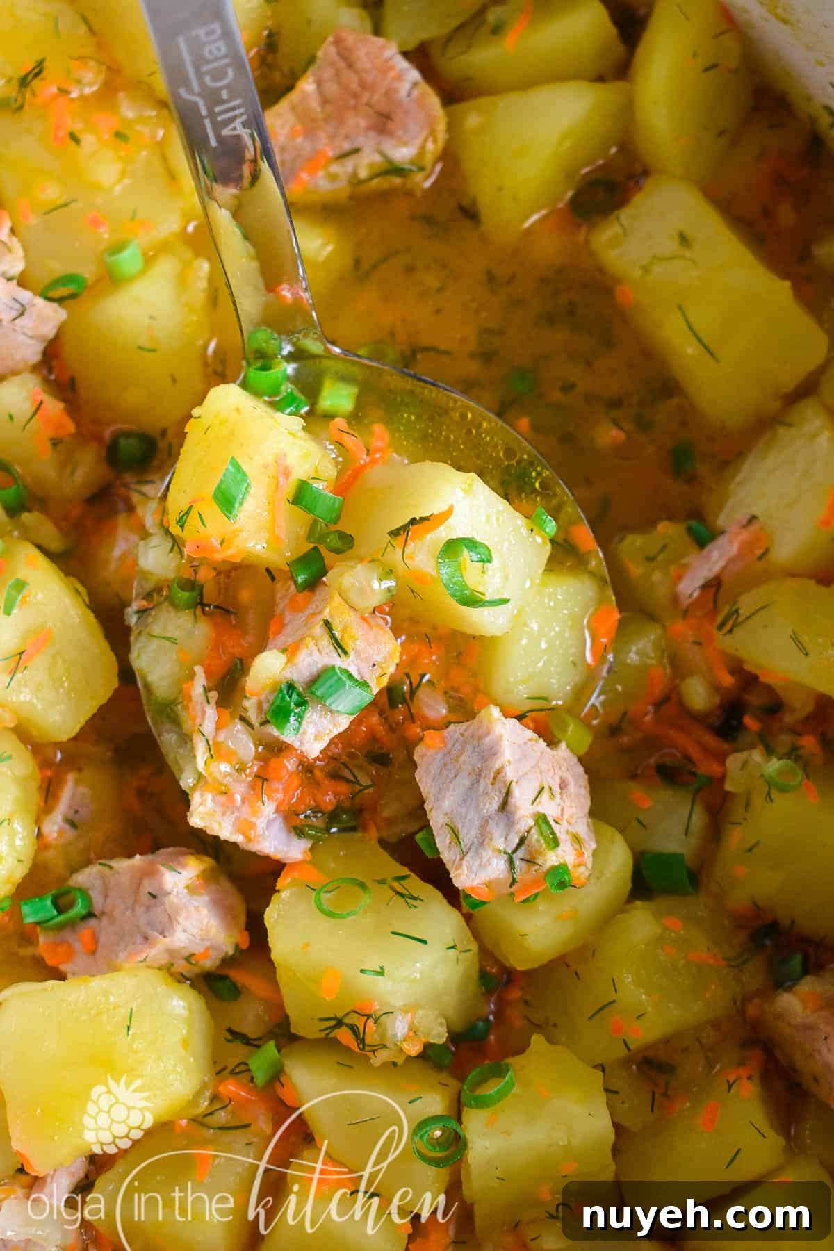 One-Pot Braised Pork and Potatoes 9 Braised Potatoes with Pork: chunks of potatoes and tender-juicy meat coated in sauce that is created from carrots, onions and potato starch.