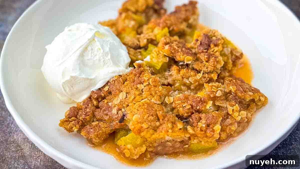 Air fried rhubarb crisp with a scoop of vanilla ice cream in a white serving bowl.