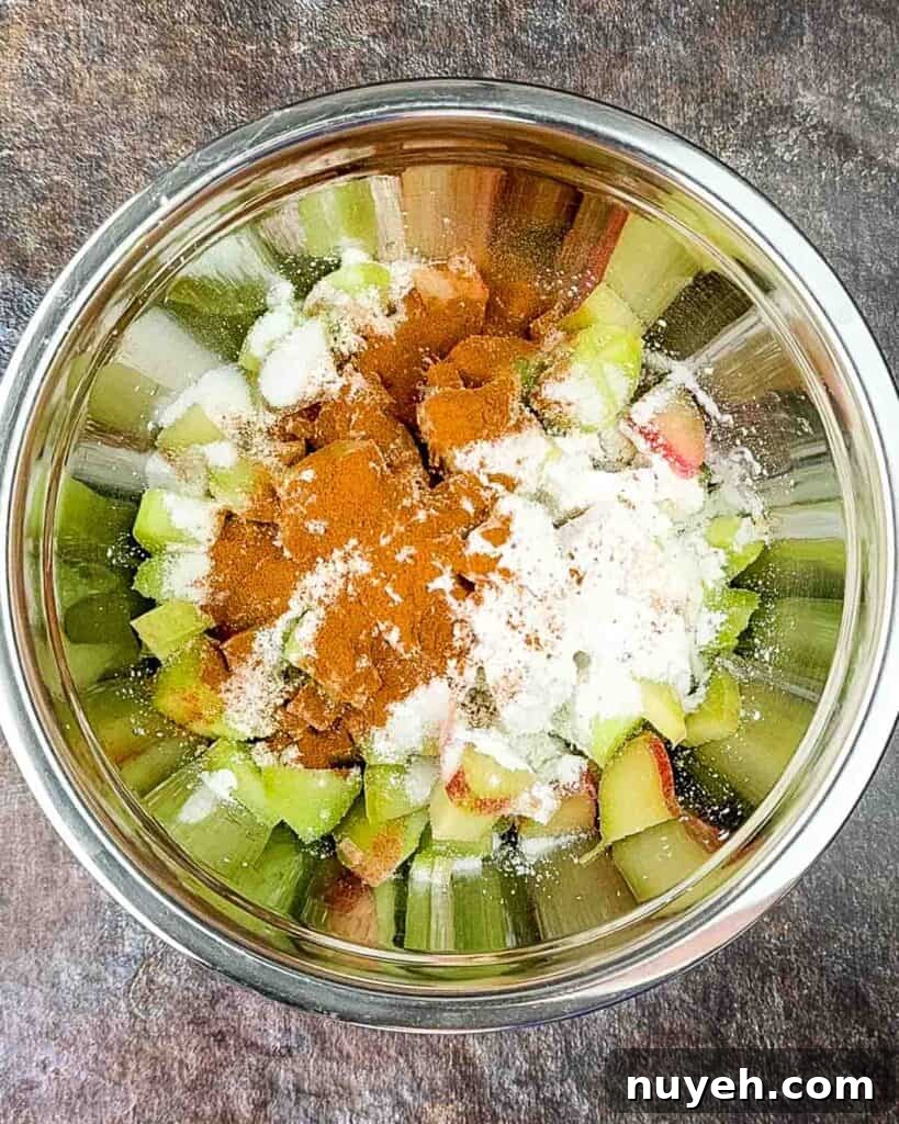Sliced rhubarb, sugar, cornstarch, and cinnamon in a large mixing bowl.