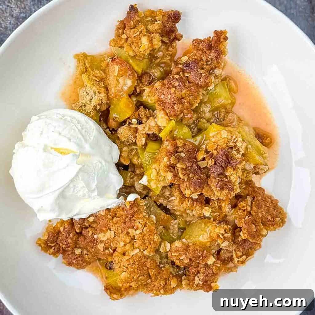 A serving of rhubarb crisp in a bowl with a scoop of vanilla ice cream.