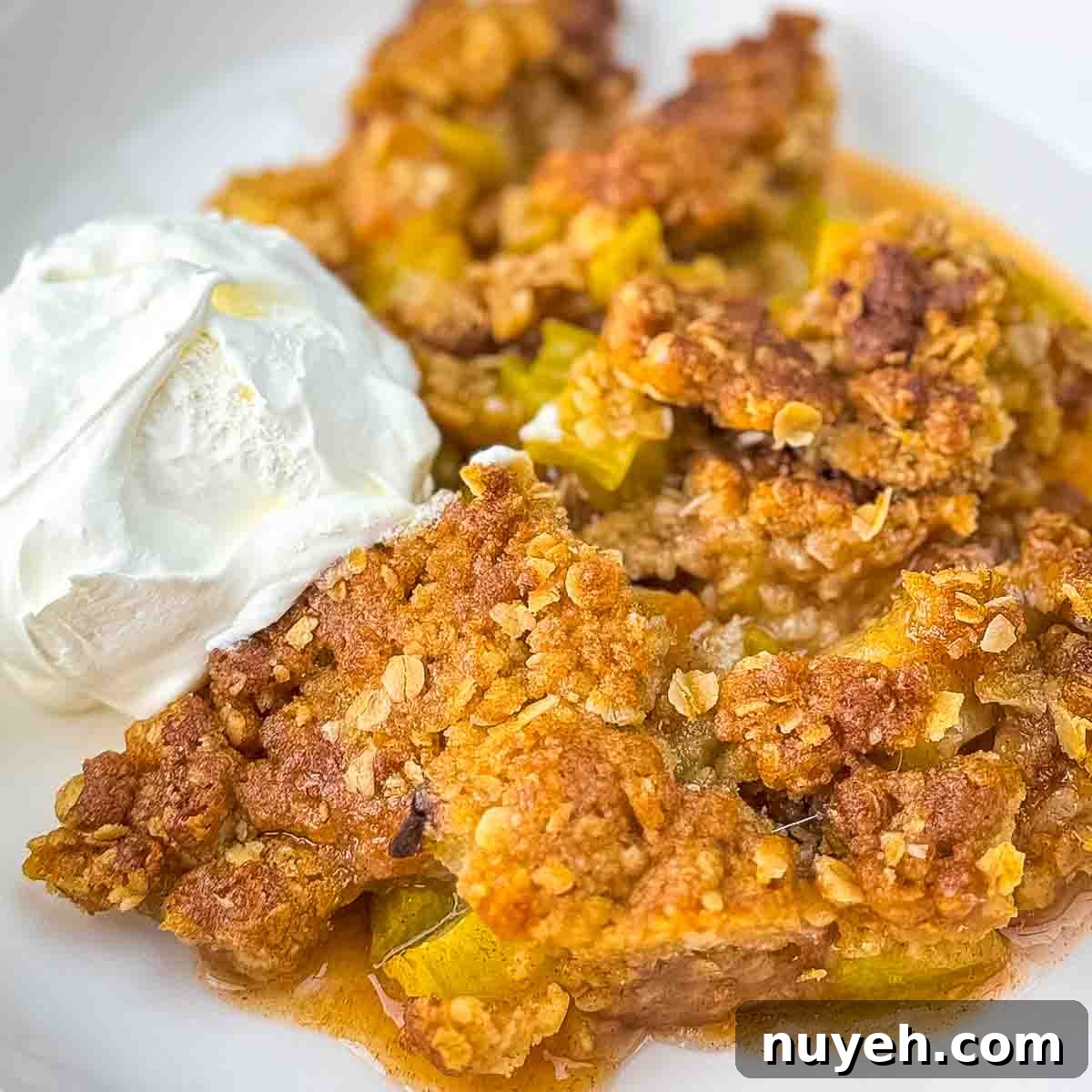 Rhubarb crisp in a bowl with a scoop of ice cream.