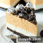 Pumpkin Cheesecake With Oreo Crust - No Bake - Featured Image