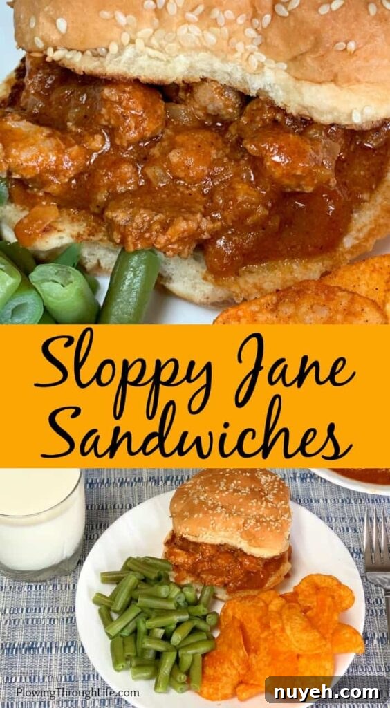 Sloppy Janes are an easy ground turkey recipe that is hearty and filling. Sloppy Janes are a lighter version of Sloppy Joes and full of flavor!