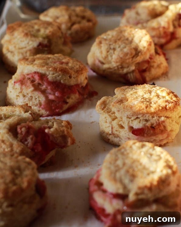 roasted rhubarb buttermilk and brown sugar scones