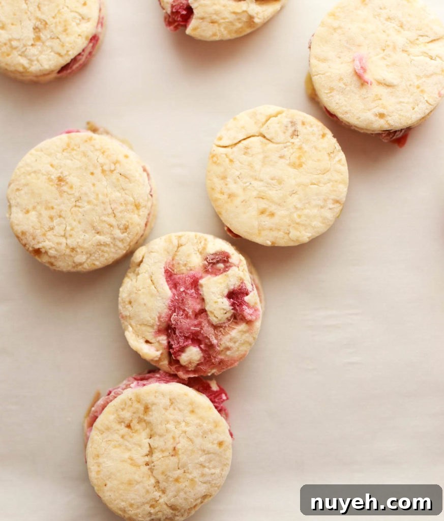 frozen roasted rhubarb scones