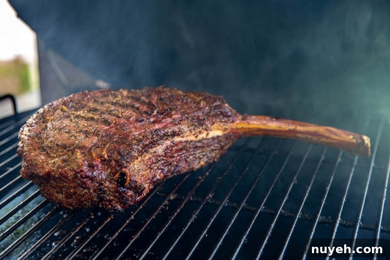 Resting Tomahawk