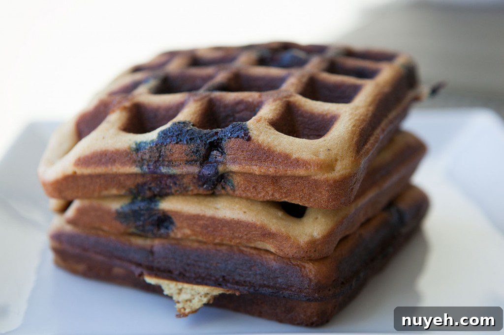 Blueberry Cashew Waffles
