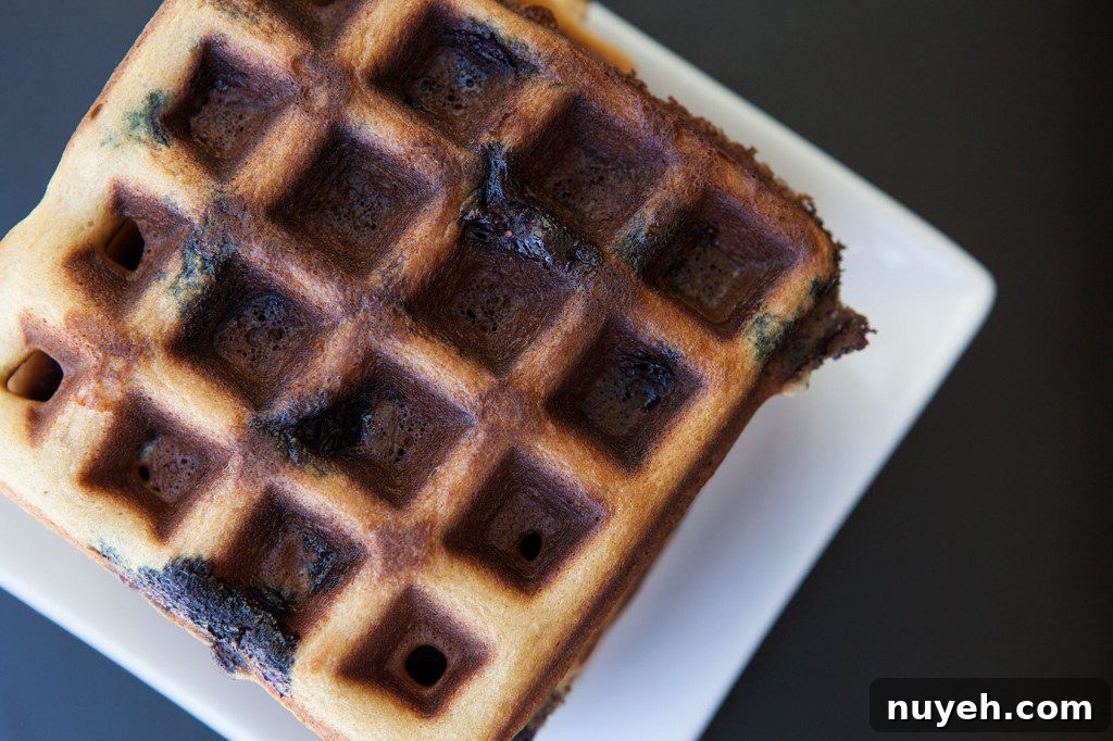 Blueberry Cashew Waffles