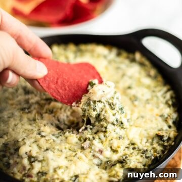 A hand with a tortilla chip scooping up hot spinach and artichoke dip.