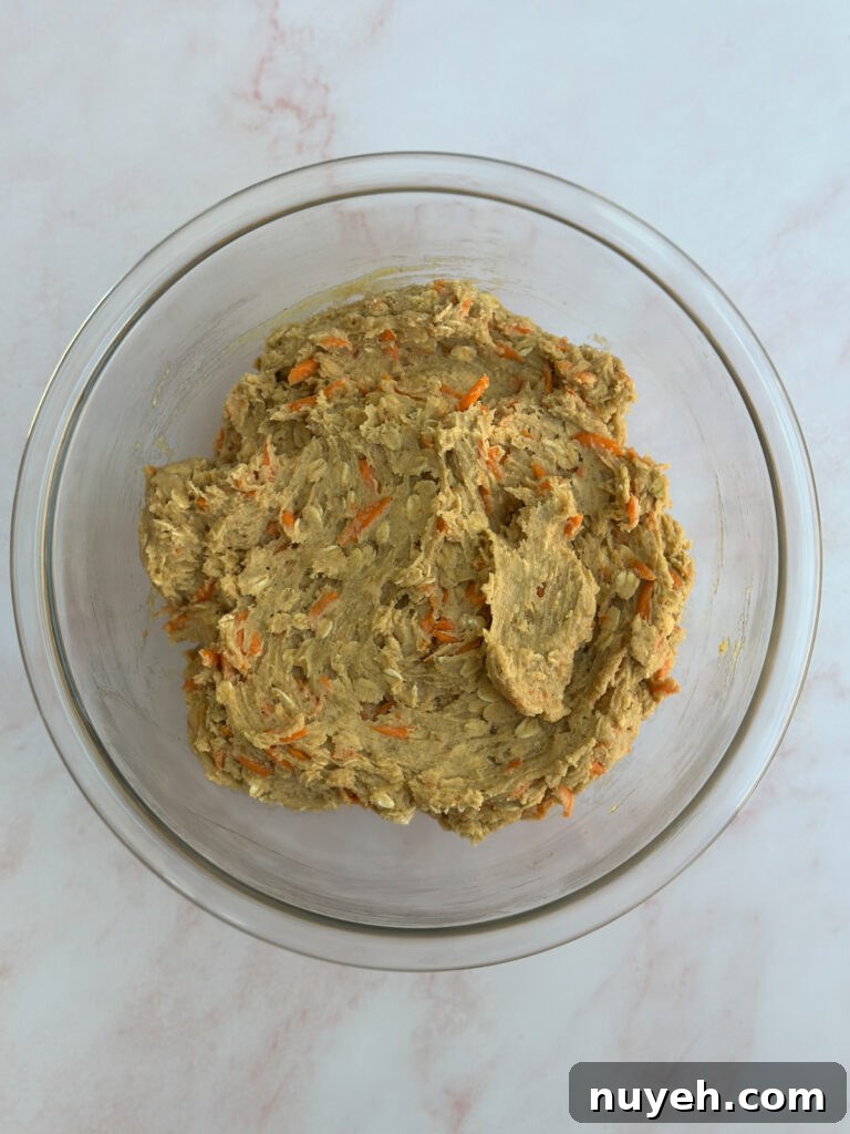 cookie dough after dry ingredients.