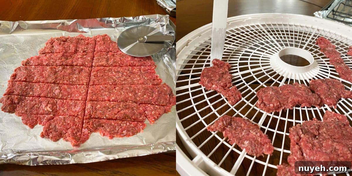 Meat scored with knife into strips and then placed on dehydrator tray