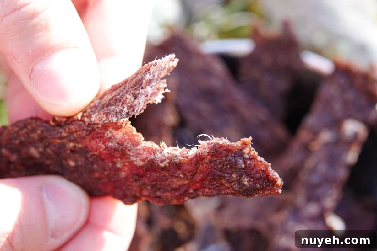Dog jerky ripped showing it's finished drying