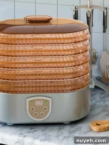 Dehydrator on counter with cutting board and knives