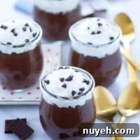 Baileys Chocolate Pudding feature