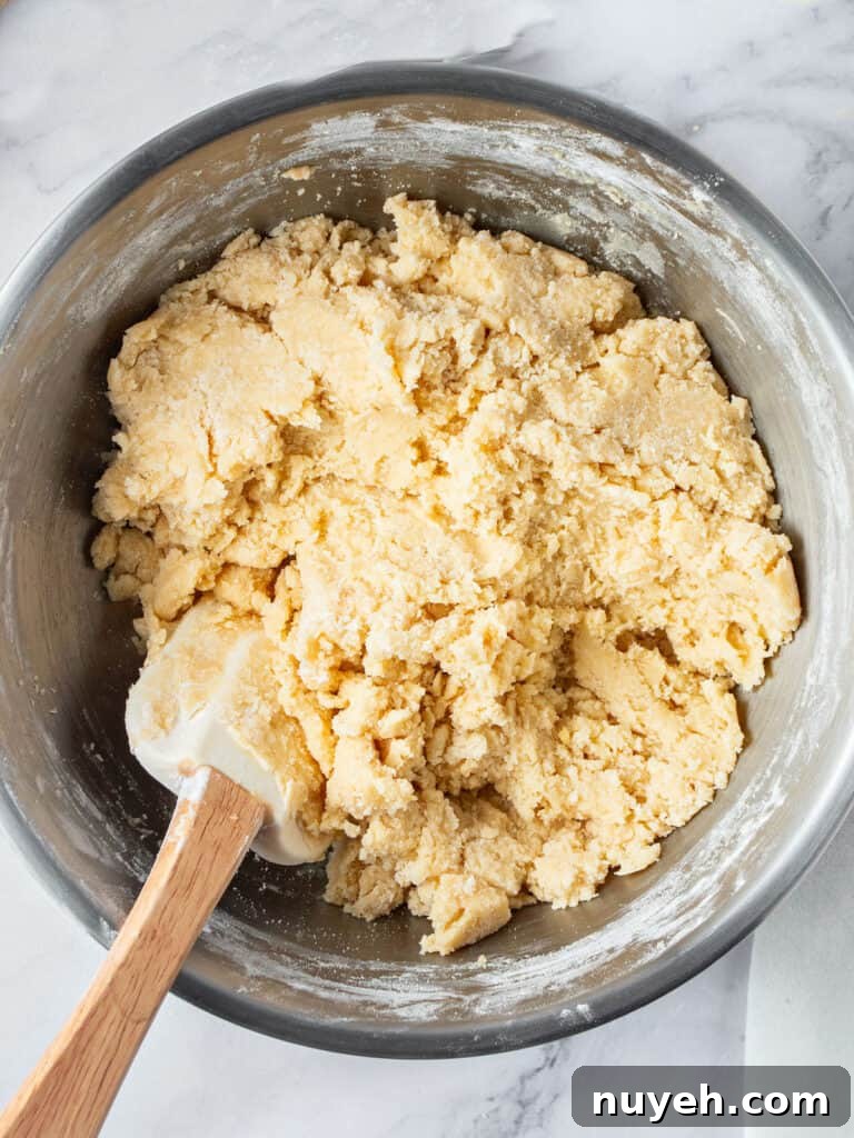 Classic Frosted Sugar Cookies Recipe 4 Mixing vanilla cookie dough in metal bowl with white spatula.