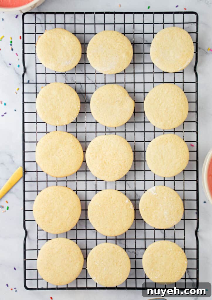 Classic Frosted Sugar Cookies Recipe 7 Rows of sugar cookies on a black wire rack. Top view. Marbled surface.