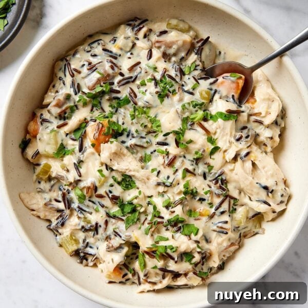 A bowl of chicken and wild rice soup.