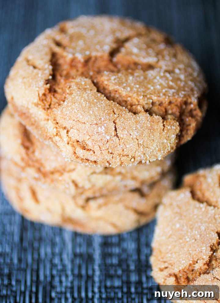 Classic Gingerbread Sugar Cookies Recipe 2 Gingerbread Sugar Cookies