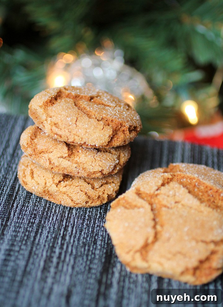 Classic Gingerbread Sugar Cookies Recipe 3 Gingerbread Sugar Cookies