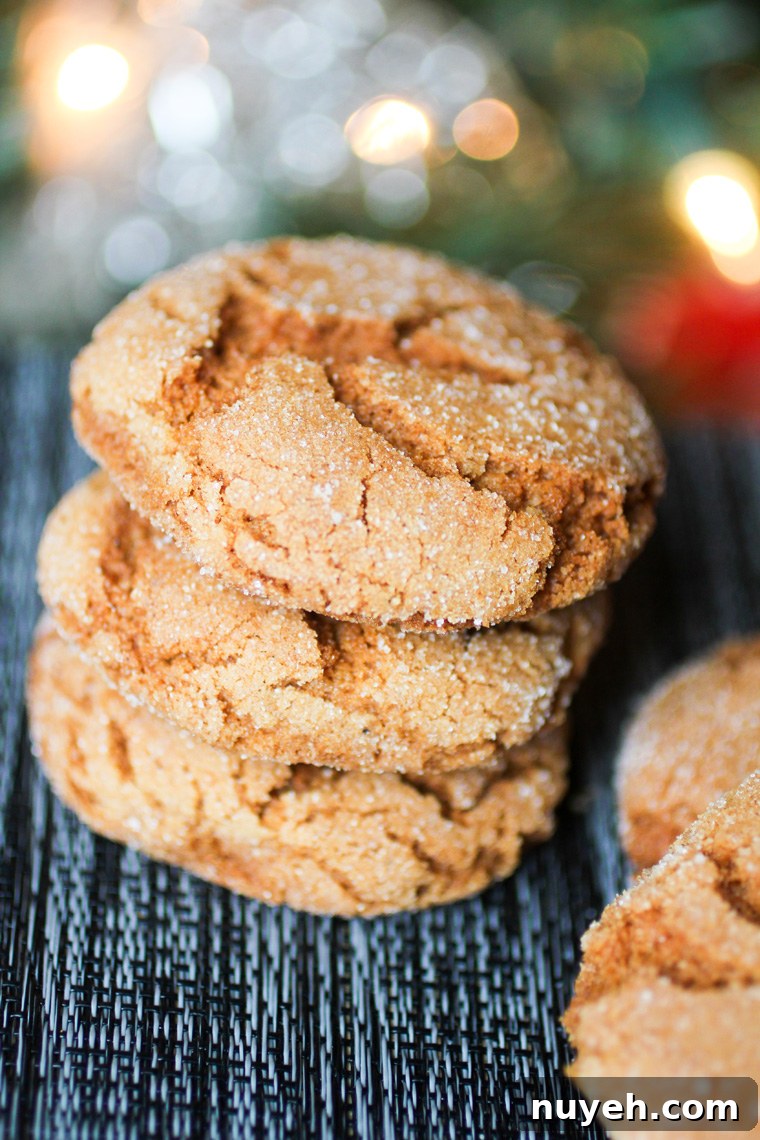Classic Gingerbread Sugar Cookies Recipe 4 Gingerbread Sugar Cookies