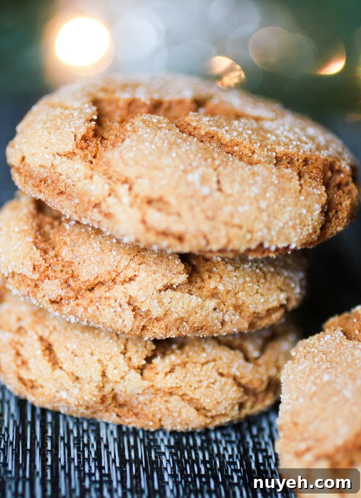 Classic Gingerbread Sugar Cookies Recipe 5 Gingerbread Sugar Cookies