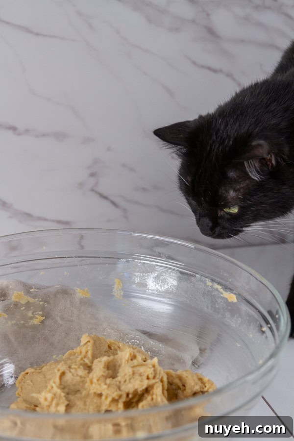 a black cat looking at a large bowl of cookie dough.