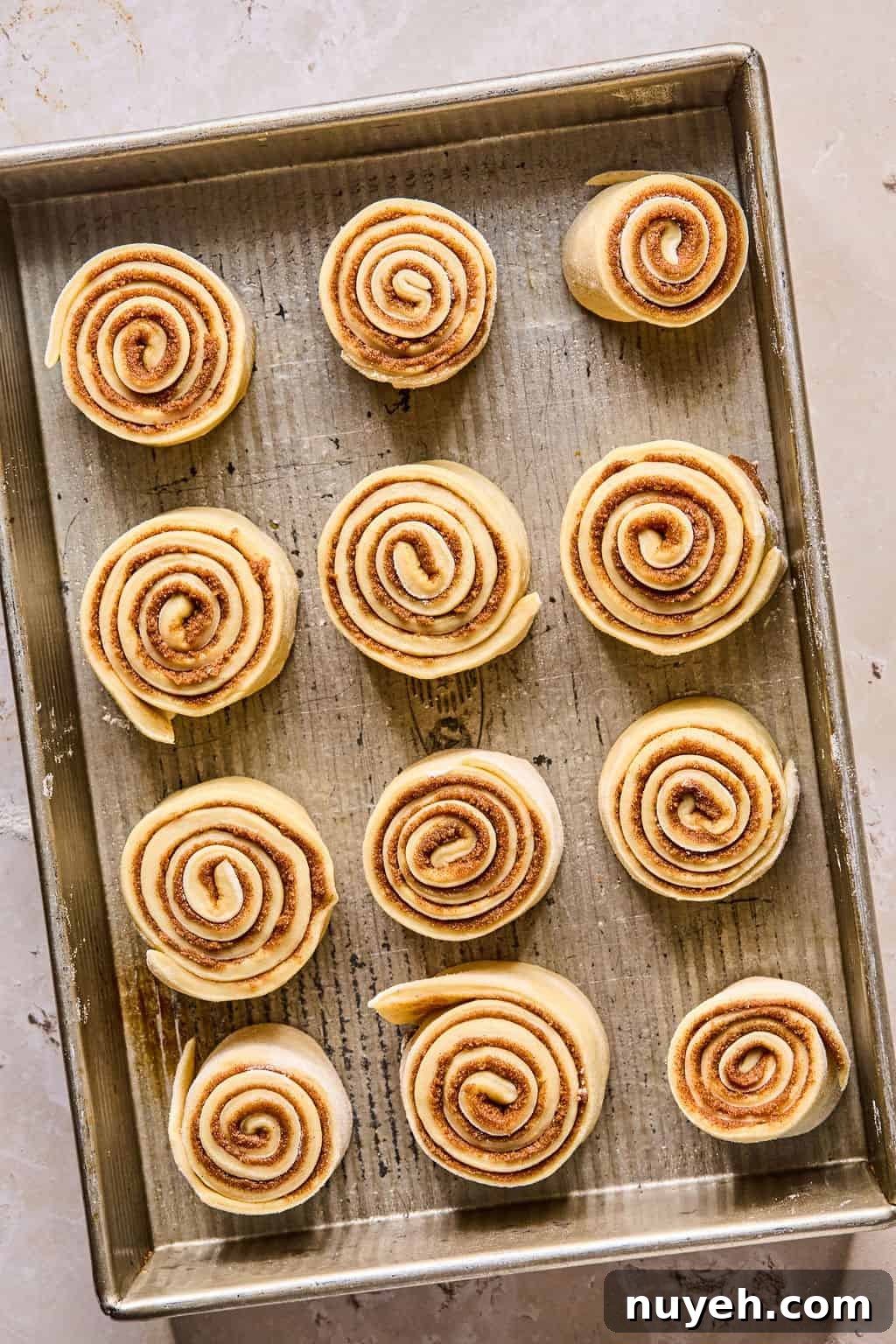 cinnamon rolls arranged in a baking pan before rising.