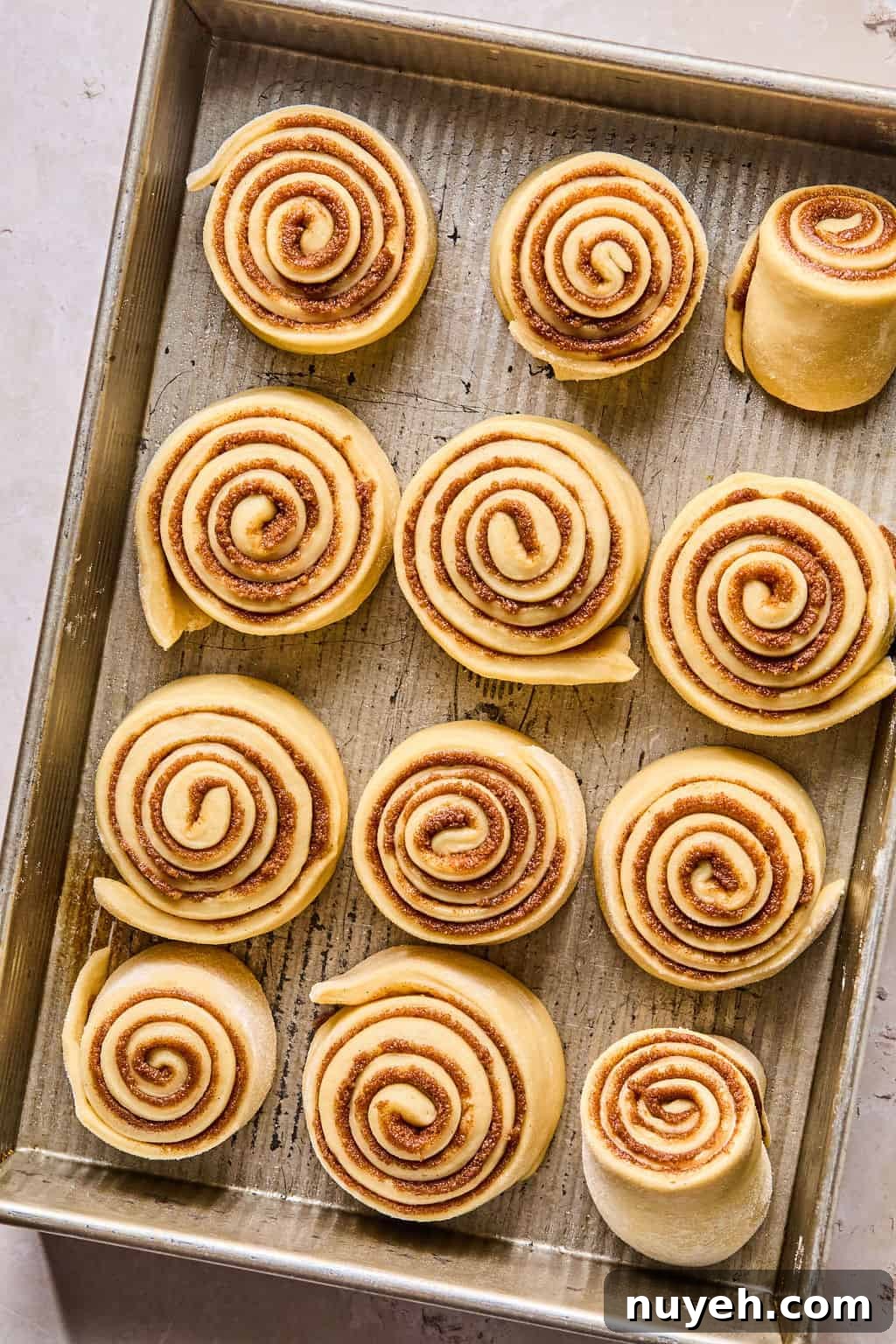 cinnamon rolls in a baking pan after rising.