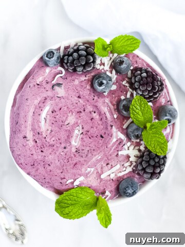 A white bowl holding a blue smoothie. Garnished with frozen blueberries, blackberries, coconut shreds, and mint.