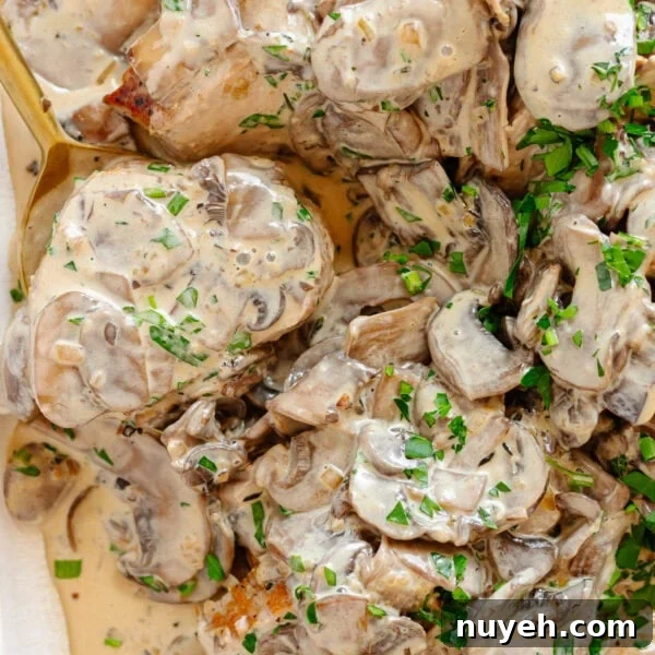 Pieces of pork tenderloin covered with mushroom sauce.